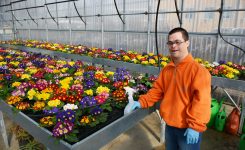 IL PROGETTO “IL FIORE ALL’OCCHIELLO”